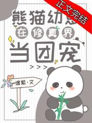 熊猫幼崽在修真界当团宠TXT封面