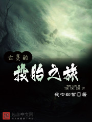 亡灵的投胎之旅小说封面
